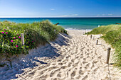 Path to the beach in Ahrenshoop, Mecklenburg-West Pomerania, North Germany, Germany