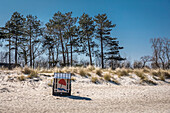 Lustiger Strandkorb am Strand von Zingst, Mecklenburg-Vorpommern, Norddeutschland, Deutschland