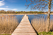 Landing stage in the Boddenhafen of Prerow, Mecklenburg-West Pomerania, North Germany, Germany