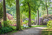 Weg im Rhododendron-Garten in Graal-Müritz, Mecklenburg-Vorpommern, Ostsee, Norddeutschland, Deutschland