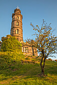 Nelson Monument on Carlton Hill, Edinburgh, City of Edinburgh, Scotland, UK