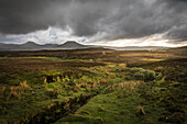 Moorlandschaft zwischen Dunvegan und Edinbane, Isle of Skye, Highlands, Schottland, Großbritannien