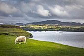 Gesto Bay Viewpoint, Brascadale, Isle of Skye, Highlands, Schottland, Großbritannien