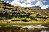 Small loch Lochan nan Dunan in the north east of the Trotternish Peninsula, Isle of Skye, Highlands, Scotland, UK