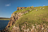 Ruins of Duntulm Castle in the north of the Trotternish Peninsula, Isle of Skye, Highlands, Scotland, UK