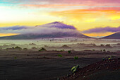 Parque Natural de Los Volcanes, dahinter der Monte Mina, 444m, bei San Bartolomé, Lanzarote, Kanarische Inseln, Spanien, Europa