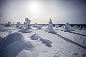 Winter landscape in Salla, Finland