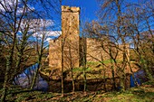 The defense tower of the moated castle of Kapellendorf with the surrounding moat and deciduous trees in the foreground, Kapellendorf, Thuringia, Germany