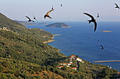 Schwalben überfliegen am Abend den Ort Loutraki an der Südwestspitze der Insel Skopelos, Nördliche Sporaden, Griechenland
