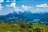 Österreich, Loferer Steinberge, mit Alpenrosen, Tirol