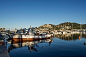 Blick auf den Jachthafen und das im Meer gespiegelte Port d' Andratx, Mallorca, Spanien