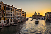 Canal Grande im frühen Morgenlicht mit Palazzo Cavalli-Franchetti und Santa Maria della Salute, Venedig, UNESCO Weltkulturerbe Venedig, Venetien, Italien                         