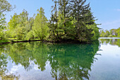 Semptquellen; Forstinninger Sempt bei Markt Schwaben, Weiher an den Semptquellen, Bayern, Deutschland