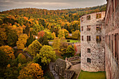 herbstlicher Wald umgibt die Ruine Heidelberger Schloss, Heidelberg, Baden-Württemberg, Deutschland, Europa