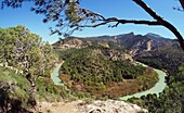 am Garganat del Chorro bei Antequera, Andalusien, Spanien