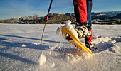 Person beim Wandern mit Schneeschuhen am Gaisberg, Gaisberg, Salzkammergut, Salzkammergutberge, Salzburg, Österreich
