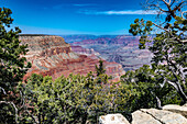 South Rim of the Grand Canyon in Springtime