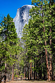 Frühling im Yosemite-Nationalpark, Kalifornien, USA