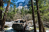 Half Dome im Frühling im Yosemite-Nationalpark, Kalifornien, USA