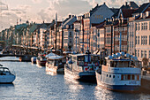 Nyhavn mit Schiffen und bunten Häusern, Kopenhagen, Dänemark