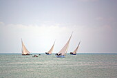 Segelboote im Wind bei der Segelregatta 'Long Island Sailing Regatta', Insel Long Island, The Bahamas