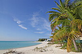 Palmenstrand Brigantine Beach, Treasure Cay, Great Abaco, Abaco Islands, Bahamas