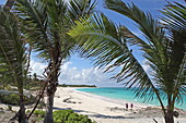Palmenstrand bei Hope Town, Elbow Cay, Abaco Islands, Bahamas