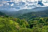 Panorama from Murgtal near Bermersbach with dramatic sky, Forbach, Black Forest, Baden-Württemberg, Germany