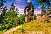 The Herzogstuhl at the Rieseneck hunting grounds in summer sunshine, Kleineutersdorf, Thuringia, Germany