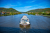 Neckar bei Heidelberg, Baden-Württemberg, Deutschland