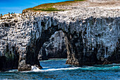 Blick auf Arch Rock auf der Insel Anacapa von einem Boot im Channel-Islands-Nationalpark, Kalifornien, USA