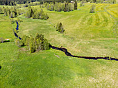 River Vltava just behind the source at Kvilda in the Šumava National Park in the Bohemian Forest in the Czech Republic