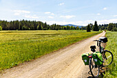 Cycle path near Prášily in the Šumava National Park in the Bohemian Forest in the Czech Republic