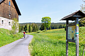 Cycle path on the glassworks route near Nový Brunst in the Šumava biosphere reserve near Železná Ruda in the Bohemian Forest in the Czech Republic