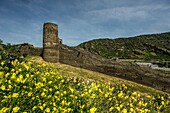City wall and defense tower on the Michelfeld with a view over the roofs of the city to the Rhine Valley, Oberwesel, Upper Middle Rhine Valley, Rhineland-Palatinate, Germany