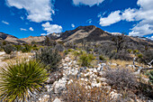 Blick auf die Berge und Felsengipfel, Guadalupe-Mountains-Nationalpark, Texas, USA