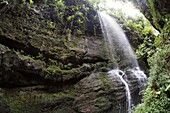 Naturpark Los Tiles an der Ostküste, La Palma, Kanarische Inseln, Spanien