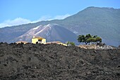 Lava vom neuen Vulkan Tajogaite, nach dem Ausbruch 2021, Todoque, Las Manchas, Westküste La Palma, Kanarische Inseln, Spanien