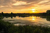 Sonnenuntergang im Vogelschutzgebiet NSG Garstadt bei Heidenfeld im Landkreis Schweinfurt, Unterfranken, Bayern, Deutschland\n