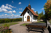 Chapel in the vineyards on the Benediktusberg near Retzbach, Main-Spessart district, Lower Franconia, Bavaria, Germany