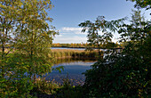Lobstädter Lachen nature reserve near Lobstädt and Deutzen near the town of Borna, Leipzig district, Saxony, Germany