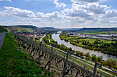 Vineyards and landscape at the wine-growing town of Randersacker am Main near Würzburg, Würzburg district, Unterfanken, Bavaria, Germany