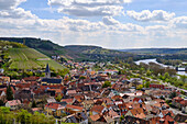 Blick von den Weinbergen auf den Winzerort Randersacker am Main bei Würzburg, Landkreis Würzburg, Unterfanken, Bayern, Deutschland