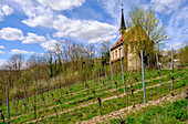 Maria-Schmerz-Kapelle im Winzerort Randersacker am Main bei Würzburg, Landkreis Würzburg, Unterfanken, Bayern, Deutschland