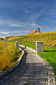 Maria im Weingarten and vineyards near Volkach, Lower Franconia, Bavaria, Germany