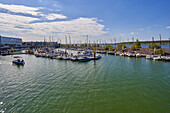 Marina at Zwenkauer See, the largest lake in the Leipzig Neuseenland, town of Zwenkau, district of Leipzig, Saxony, Germany