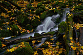 The Teufelsmühle waterfall of the Schwarzbach am Holzberghof above the town of Bischofsheim adRhön, Rhön biosphere reserve, Rhön-Grabfeld district, Lower Franconia, Franconia, Bavaria, Germany