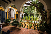 Interior house garden (Patio Sevillano), Seville, Andalucia, Spain