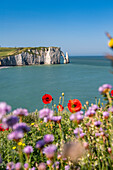 View of the Etretat chalk ledges with wildflowers in the foreground