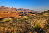 Oribi Ridge overlooking Drakensberg, Giant's Castle, Drakensberg, Kwa Zulu Natal, Maloti-Drakensberg UNESCO World Heritage Site, South Africa